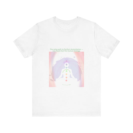 Why Choose Raw Knowledge v16.2 Chakra Energy Unisex Jersey Tee